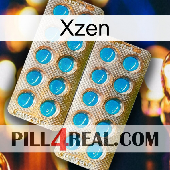 Xzen new08.jpg